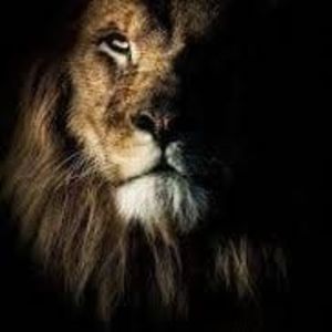 Meet your Posher, Benji